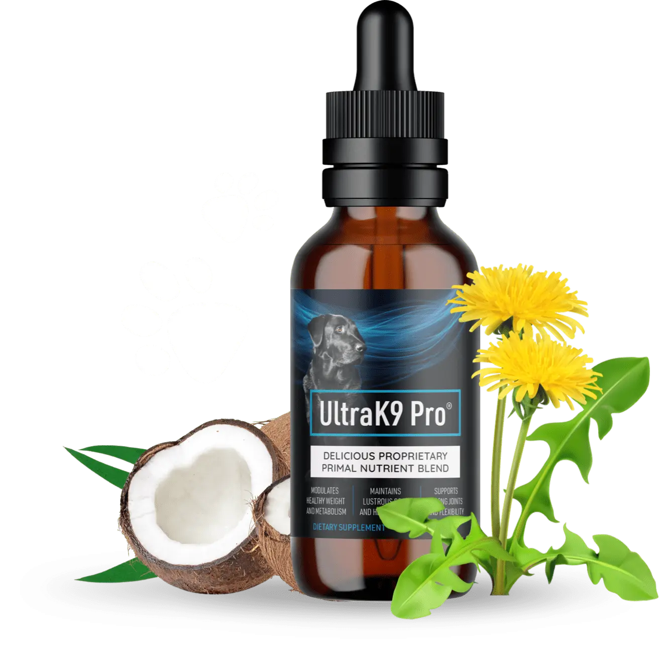 UltraK9 Pro dog skin coat joint digestive and wellness support